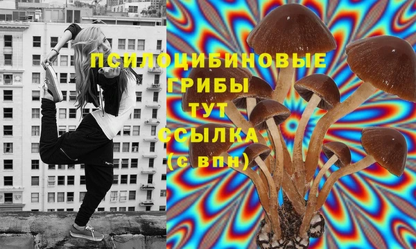Альфа ПВП Алексеевка