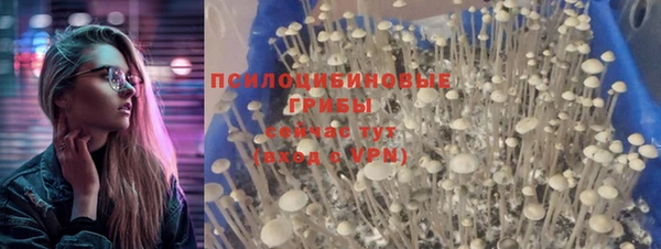PSILOCYBIN Алексин